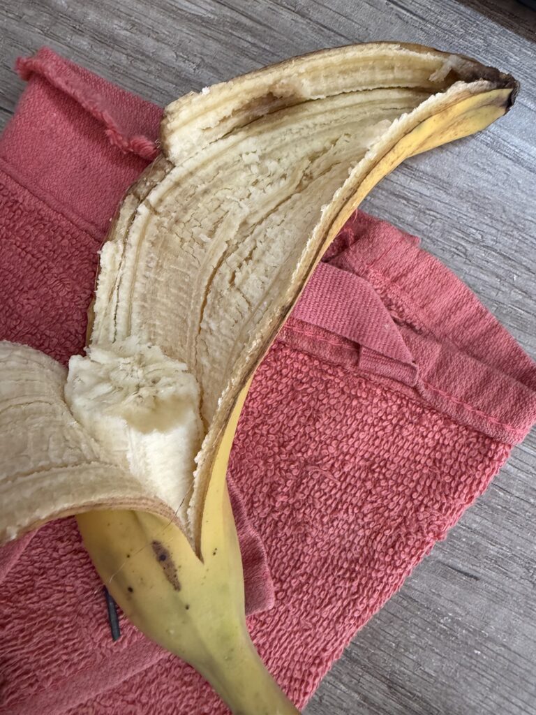 The Case of the Abandoned Banana 1 The Case of the Abandoned Banana IMG 1934