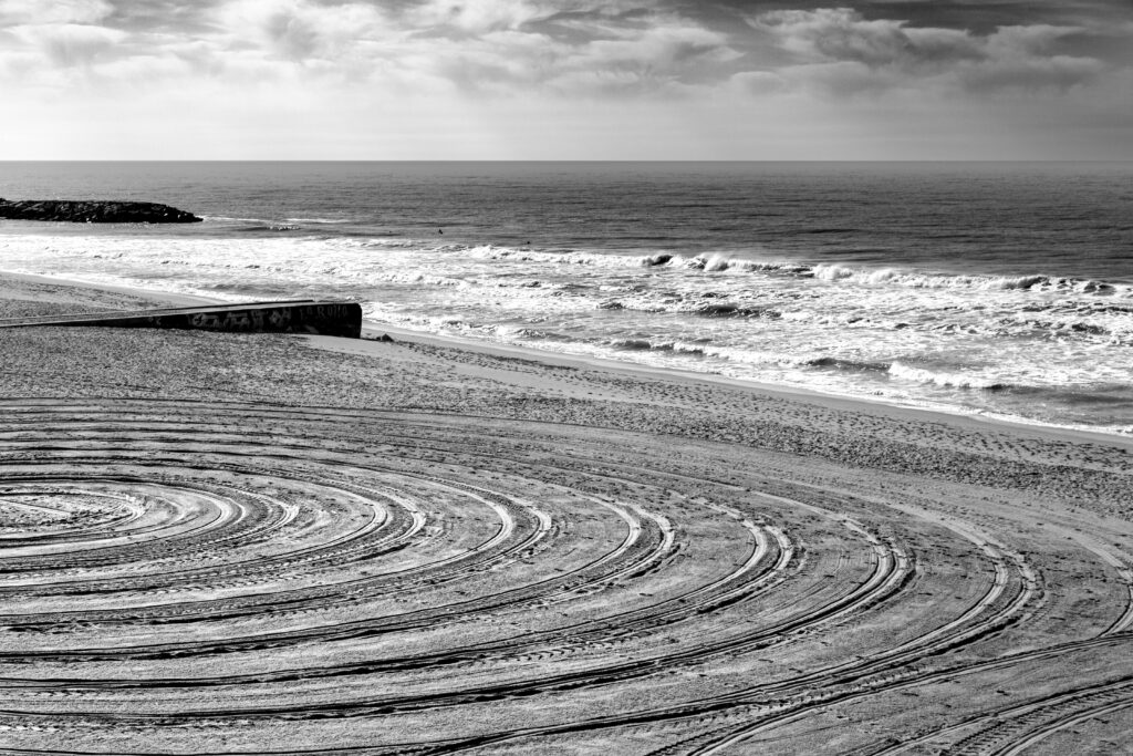The Cartographer of Dust 1 The Cartographer of Dust pexels leonardo delsabio 2150529415 31746331