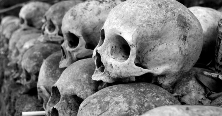 The Bone Weaver pexels photo 1096925 2