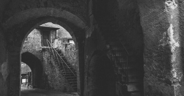 The Weaver's Knot pexels photo 19429237 2